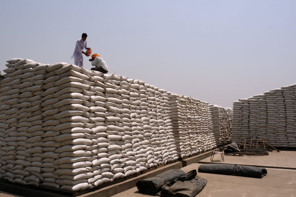 Miniștrii agriculturii din G7 critică decizia Indiei de a interzice exporturile de grâu